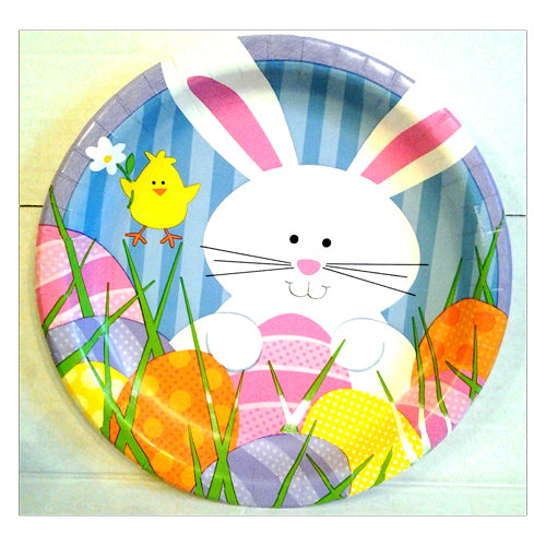 Bunny and Flower Chick 10.25" Plates -No labels