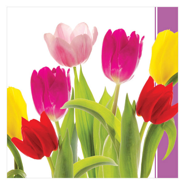 Tulip Joy Luncheon Napkins-B621